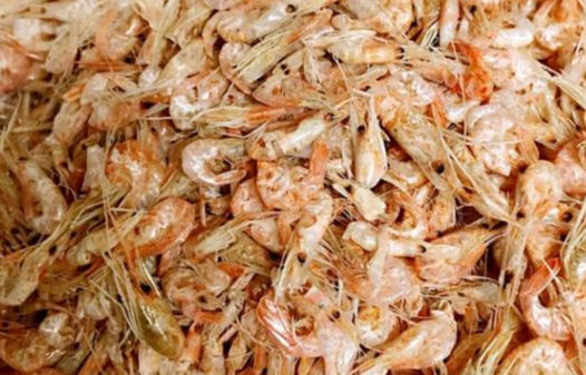 「饵料」饵料用法—简单实用的鲤鱼饵料配方