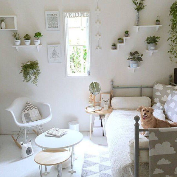 客厅里令人向往的绿色景观