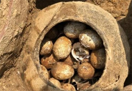 鸡蛋▲考古为何最怕挖到古墓鸡蛋，背后到底有何玄机？专家：碰都不能碰