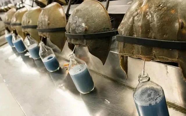 ##地球上唯一蓝色血液生物，活了4亿多年，救了人类却救不了自己！