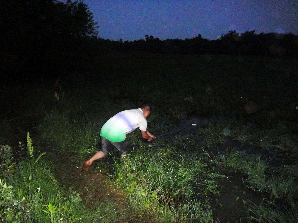 成都|白天太热太晒,但这几种情况不适合夜钓,钓鱼人应该注意。