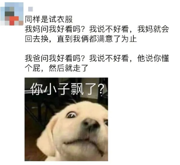 |“新手陪领导出差，有什么建议吗？”评论区太内涵了，哈哈哈哈