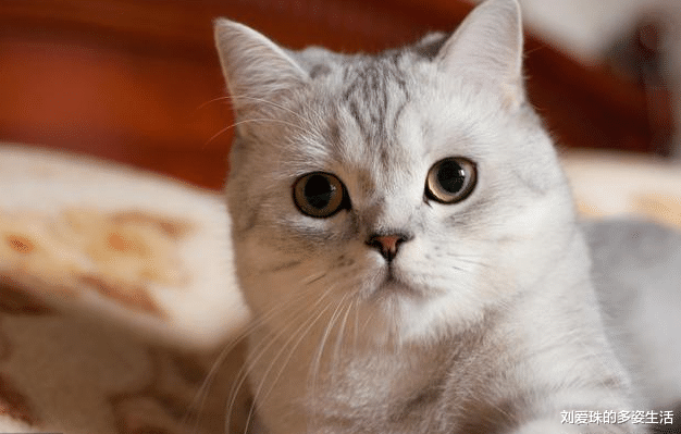 「离职」如果你想辞职,千万想明白这3点,否则你会越混越差!