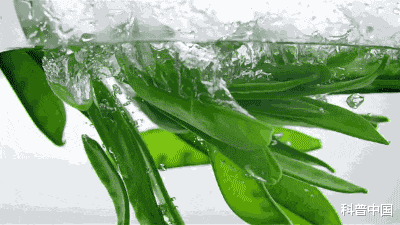 『艾灸』不敢相信！这些蔬菜竟是\致癌菜\？很多人都不知道