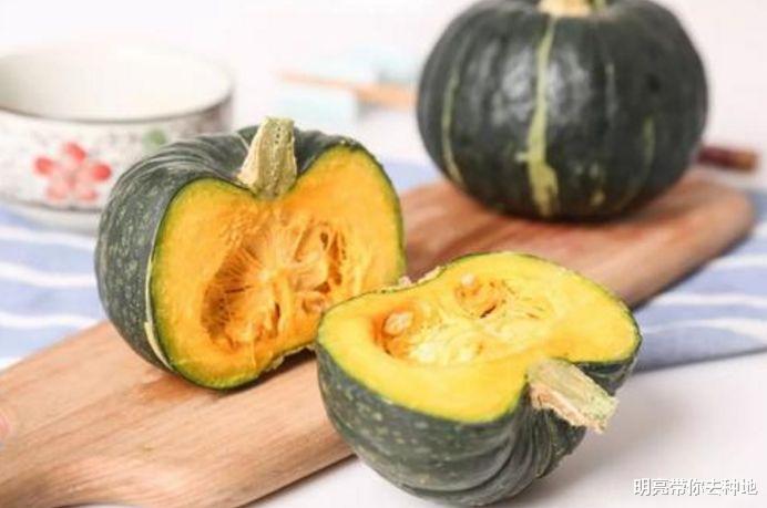 『南瓜』医生不会告诉你：这些关于南瓜的实用“冷知识”，遇到要珍惜