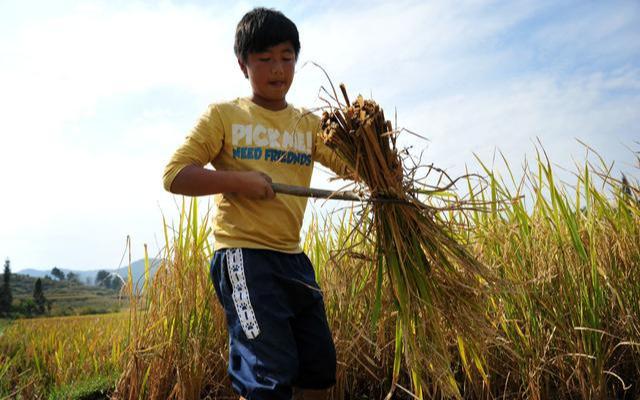|甲骨文创始人：不能让中国培养出比美国还多的工程师