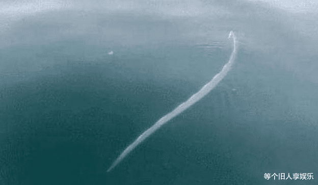 美国：日本传来噩耗！又一危险预兆已经出现，民众大呼：日本已无未来