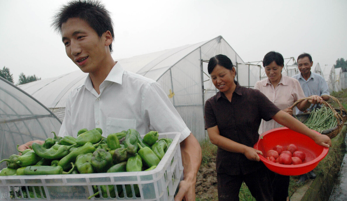 投行|从三本或者专科学院毕业的学生都干啥去了？现实很残酷