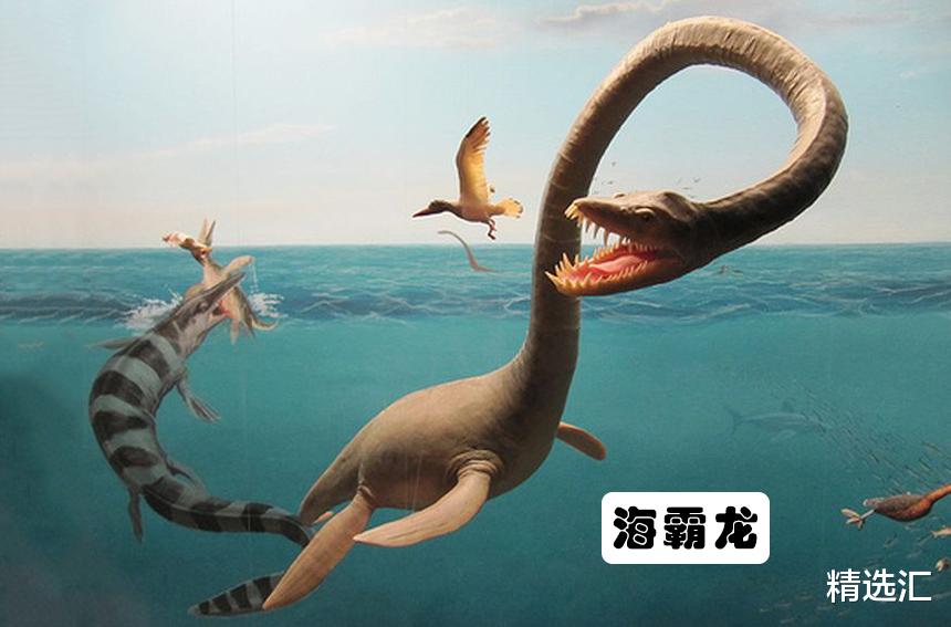 『章鱼』地球上存在着或存在过的10大海洋巨兽