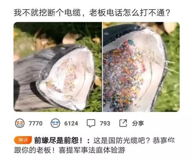 |河边捡到的一块石头，看着像极了化石，有人了解吗，要不要上交啊？