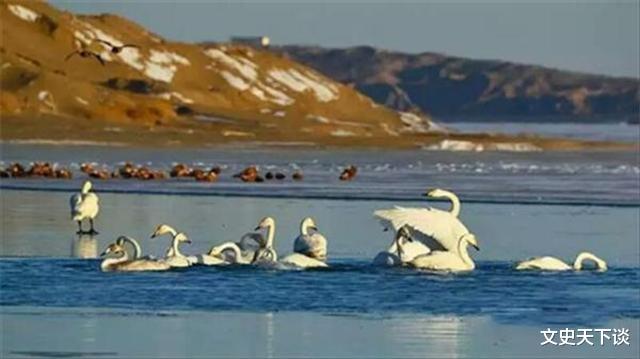 水库|亚洲最大沙漠水库：我国耗时40年建造而成，1年不到却尝到恶果