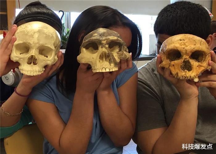 「恐龙」恐龙在地球上1.6亿年，为什么没进化成人？其实早有征兆！