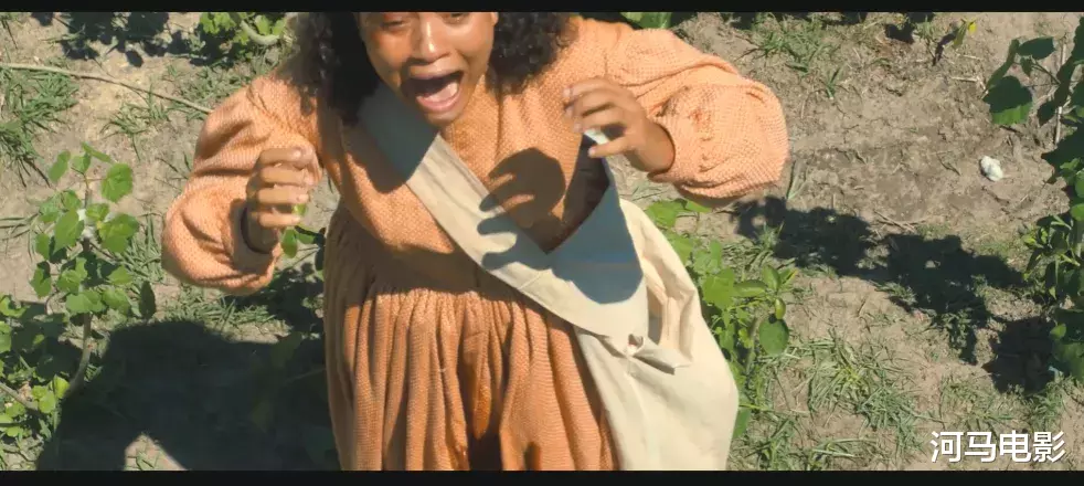 西部世界|现实版《西部世界》,疯狂至极