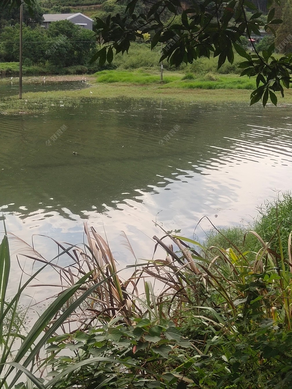 |秋雨绵绵，出钓山间水库，山美水美鱼更美