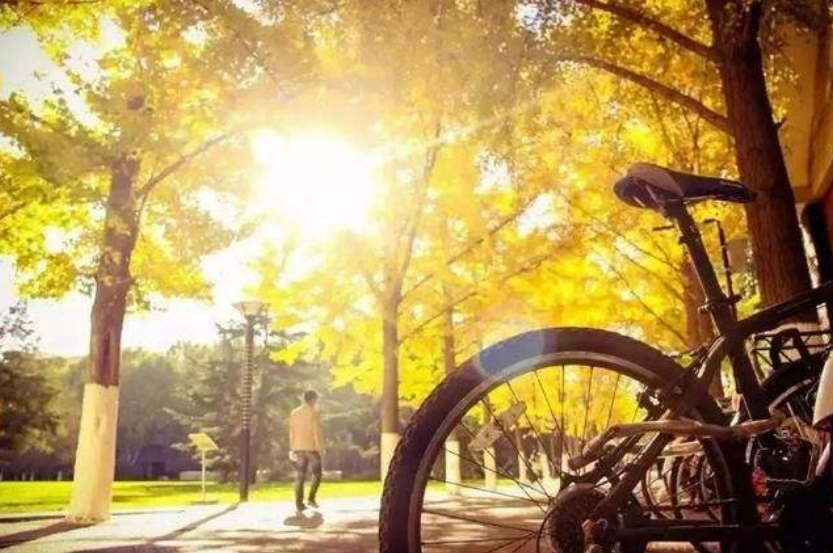 【北京交通大学】铁路专业“最牛”的3所大学，专为铁路局输送人才，工资高待遇好