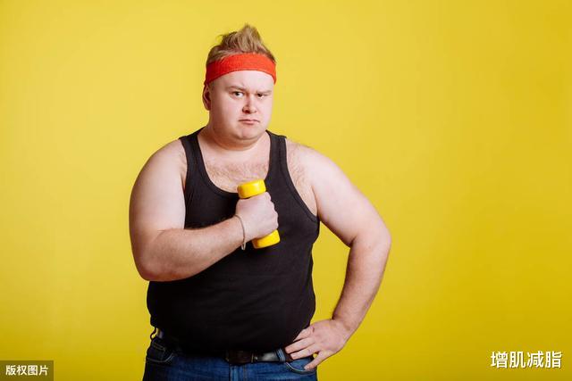 『肝脏』一个胖子做有氧，一个胖子做重训，长期坚持，两人有什么区别