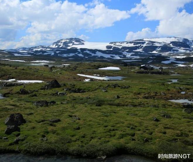 北极▲全球蚊子密度最大的地区，零下也能存活，动物们反倒遭了殃！