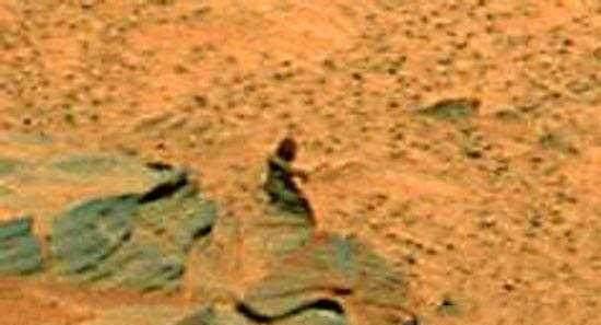 外星人|终于找到了！NASA照片上快速移动的外星生物，疑似为女外星人