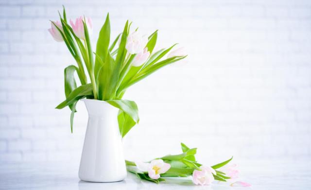 生肖|8月，财比山高，运比火旺，4生肖贵人来帮，熬过苦日子，迎接好运