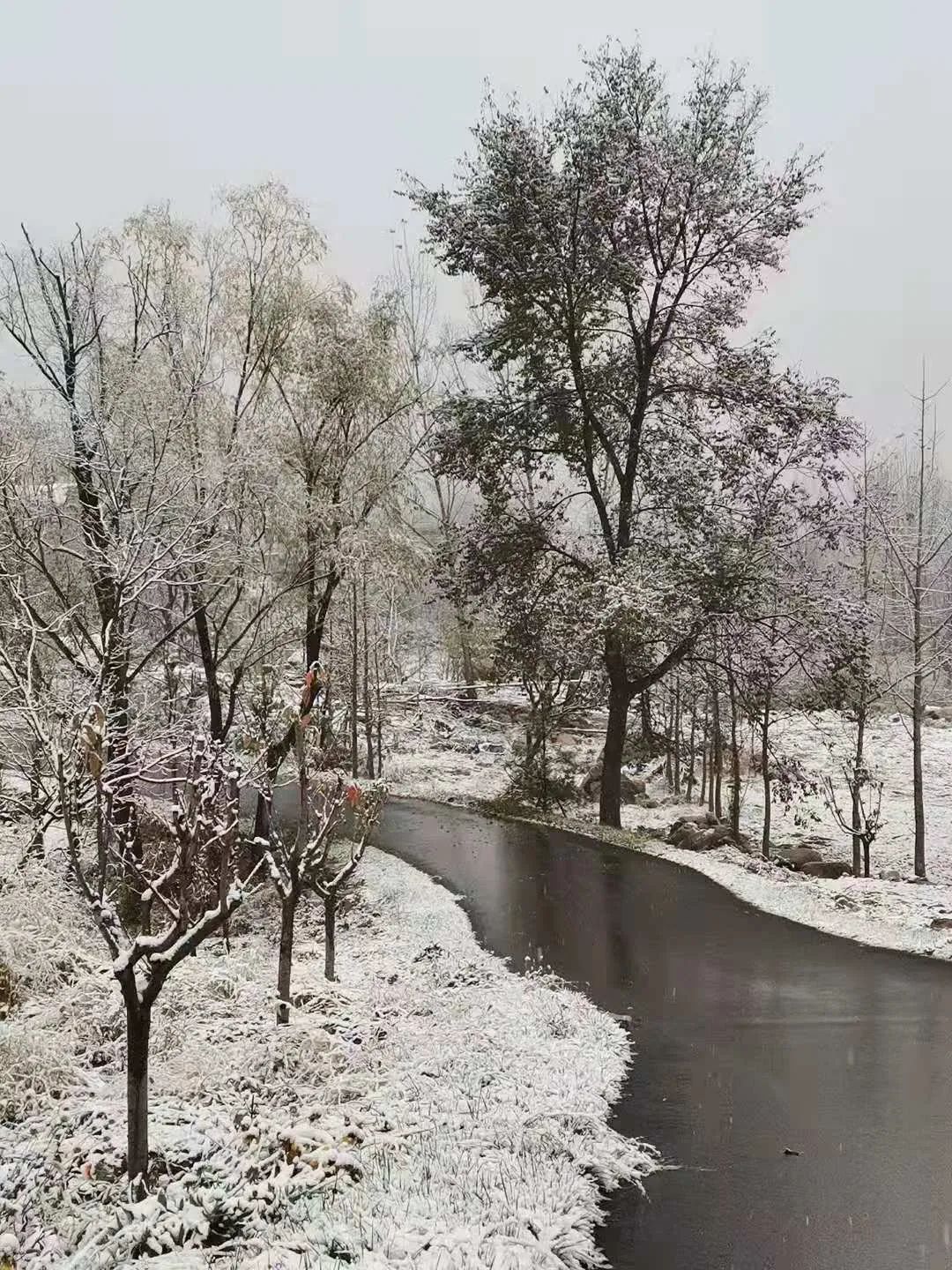 泰安|瑞雪丰年，国泰民安！看，泰安今冬第一场雪，下成这般仙境模样！