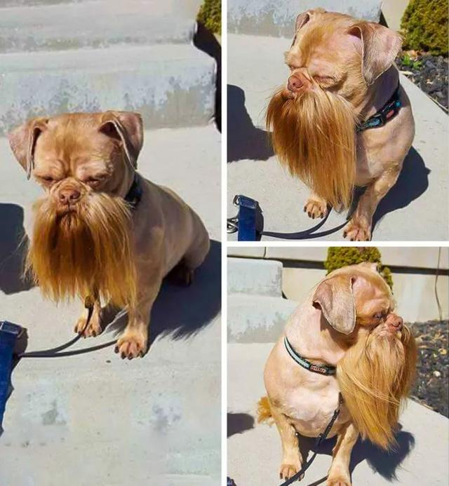 |24张“活久见”生物照，仿佛来自另一个星球