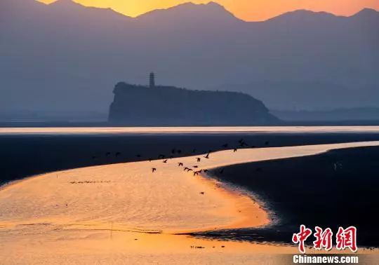 藏獒|人到中年，不要在朋友圈显摆这些