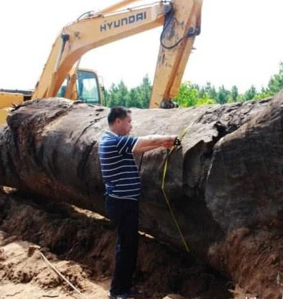 爷爷说：“卖房卖地也不能卖这个饭桌”，只因这个饭桌表面有这特征