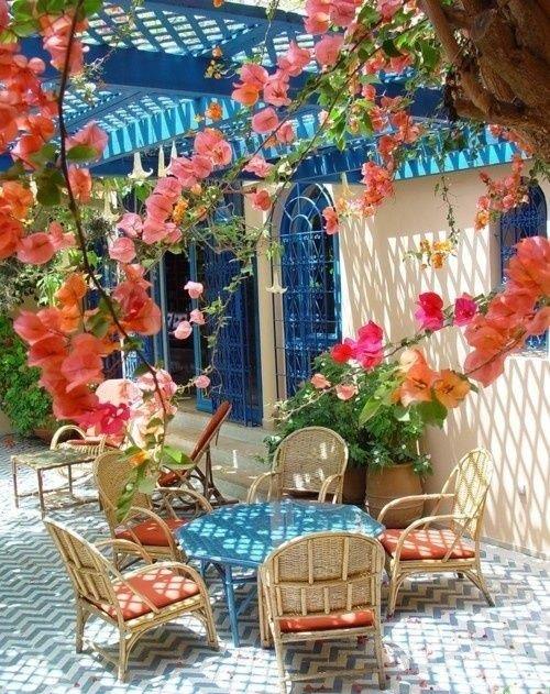 ：等老了，就设计这样的小院来养老，有花有树有阳光，太棒了