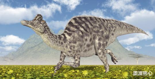 「恐龙灭绝」恐龙灭绝之后, 人类文明却隔了6500万年才出现, 中间地球经历了什么