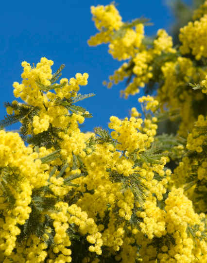 【运势】未来一个月，4属相横财就手，发家不愁，事业蒸蒸日上，好运连连