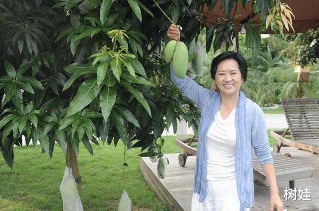 #邓兆尊#53岁邓兆尊4.8亿出售地皮靠父母遗产过活，不婚不育不怕坐吃山空