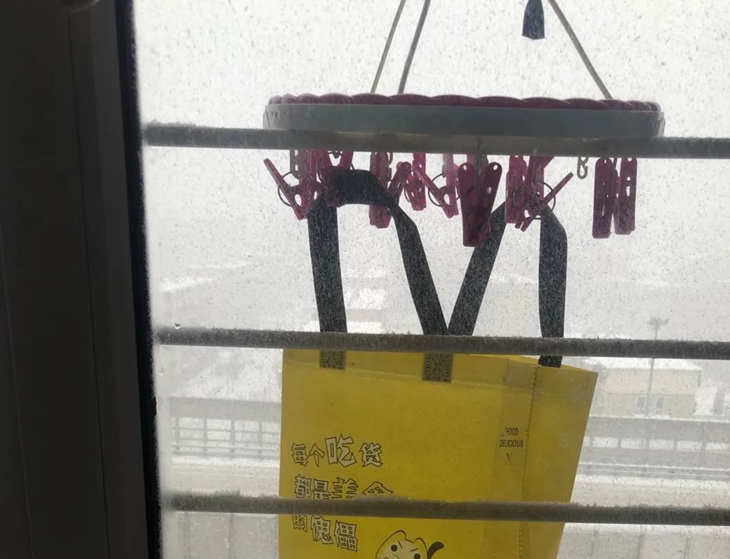 半岛晨报 ?停电信息 大连一女子居家隔离,下雪发了个朋友圈,结果第二天…