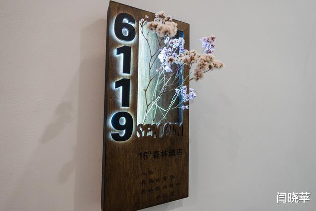 自驾|自驾七彩森林，寻找最美大草原16℃的夏天