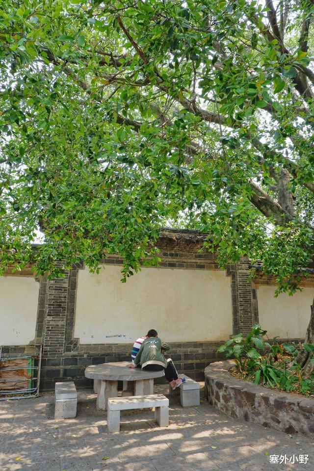 建水|云南旅游被忽略的最美小县城，千年古城不收门票，住宿餐饮很便宜