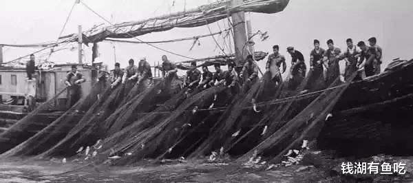 渔业|大黄鱼：作为曾经的“爱国鱼”，我的悲剧还能收场？