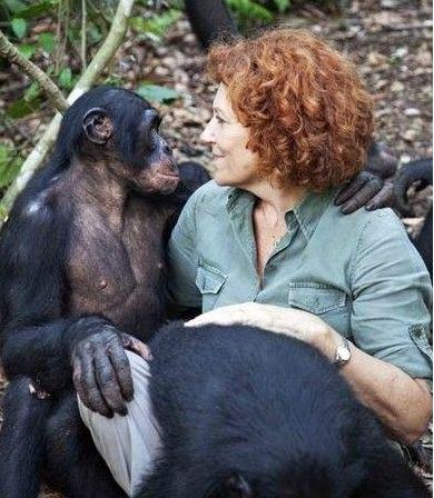 黑猩猩|人和黑猩猩后代实验，5名女性试验后，为什么不敢再尝试了？