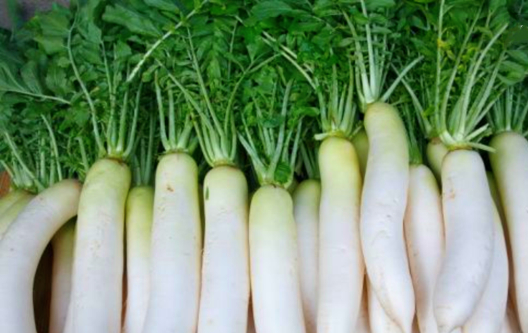 孙俪|孙俪生完两孩子体重保持90斤，分享常吃4蔬1茶，网友：太靠谱了