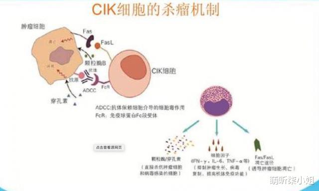 造血干细胞|美国癌症死亡率25年狂降27%背后，给中国带来了什么启示？
