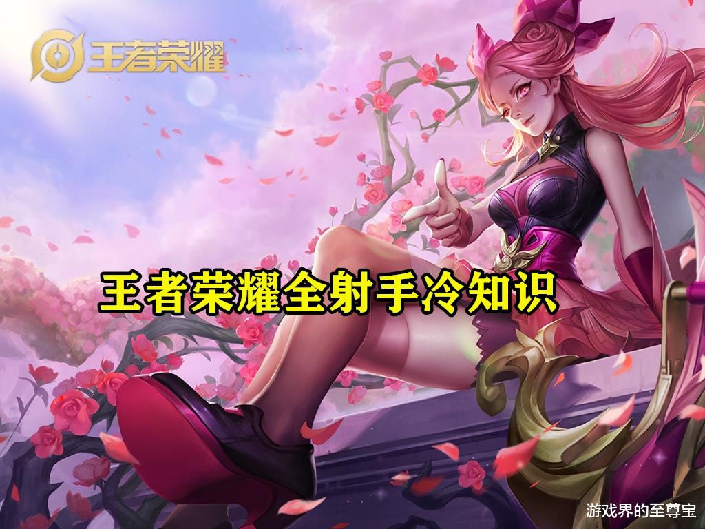 冷知识|王者荣耀全射手英雄冷知识，技能效果，被你忽视了多少？