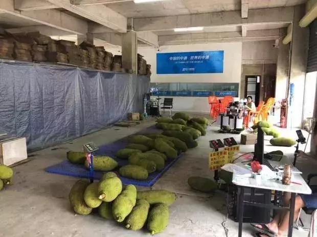 电子商务|现在的电商平台有多偏袒买家？说水果不好吃选择仅退款，平台还同意了