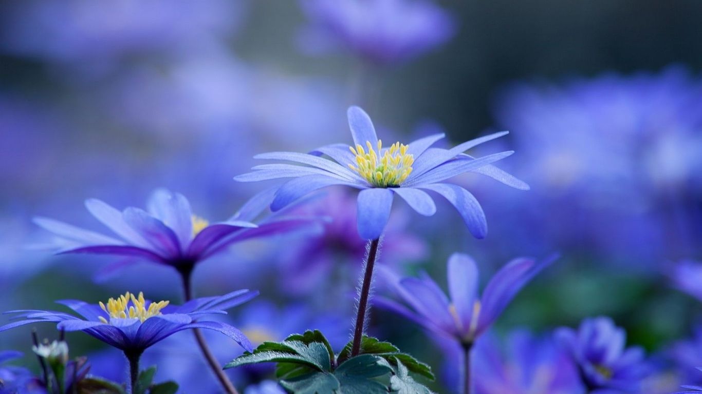 ▲穷人和富人的五个区别