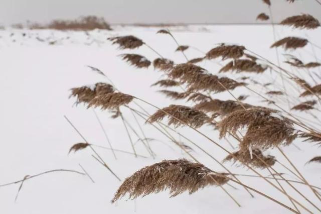 「」等老了,不讨儿女嫌,记住这10条