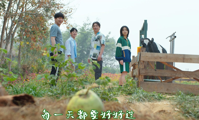 许魏洲：任嘉伦恋恋不舍，谭松韵倍感亲切，许魏洲珍贵，这就是向往的生活