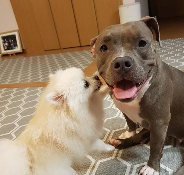 华少|8点认识《Running Man》梁世灿，和全昭旻有可能假戏真做？