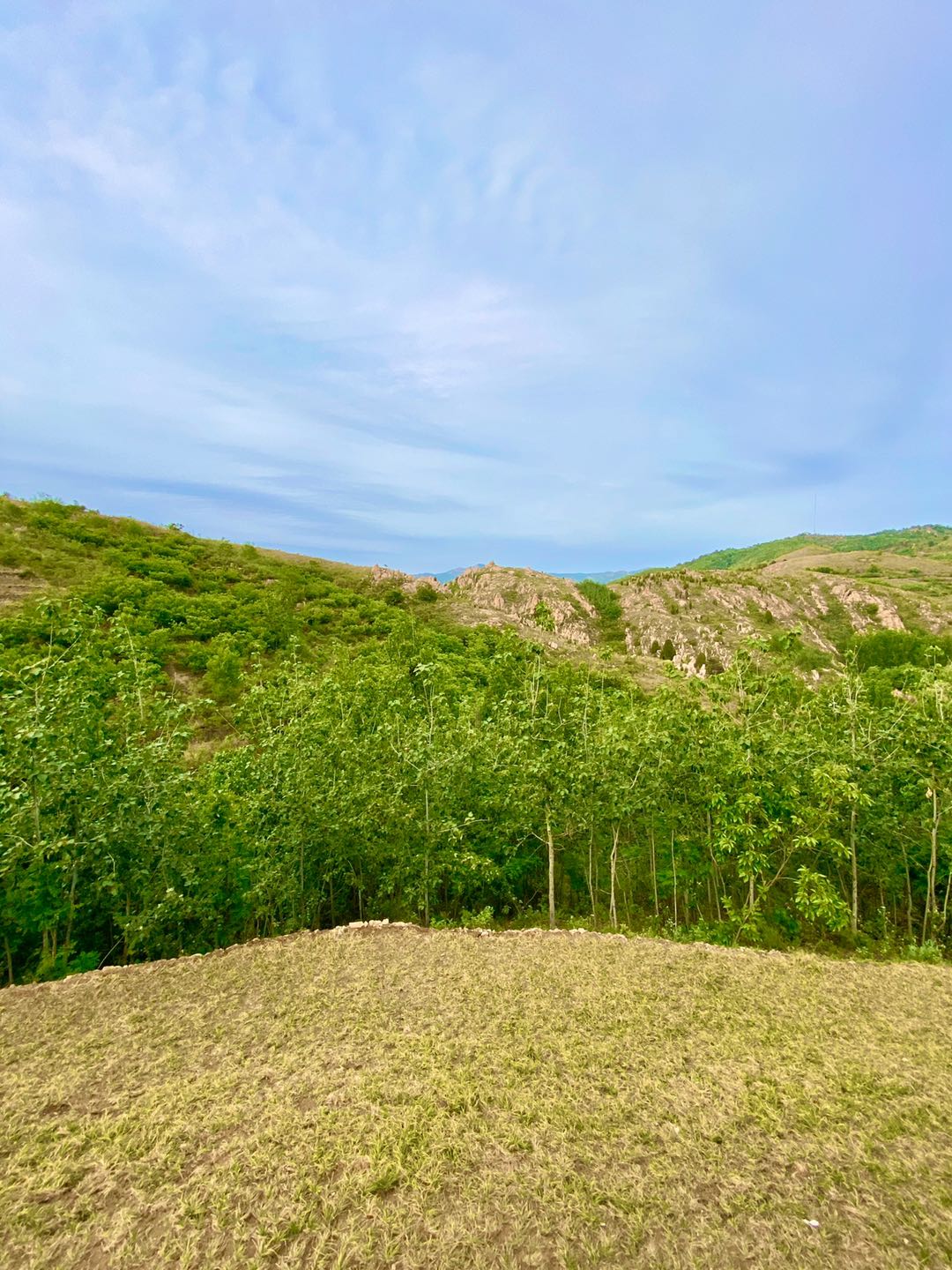 【济南】太多济南人没去过，深山藏着一处高级野奢书房