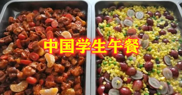 :世界各国学生午餐!美国丰盛,韩国营养均衡,看到中国学生:打扰了