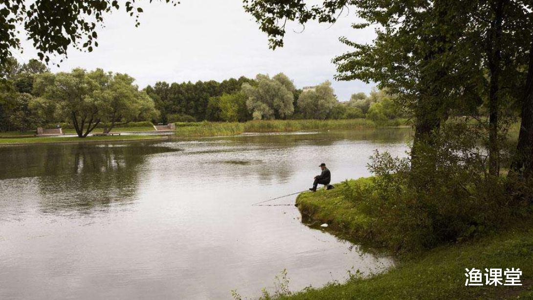 【】使用鱼饵的4大基本法则，理解并学会后，饵料这一关就算出师了