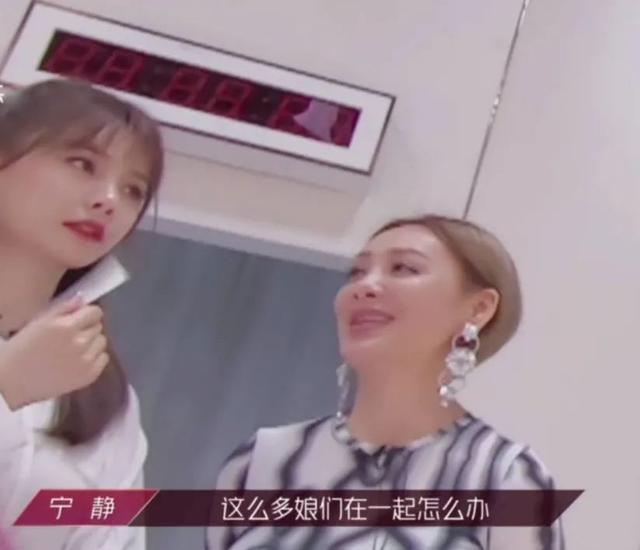 万茜|“不想红”的女明星，却被宁静张雨绮宠上天？