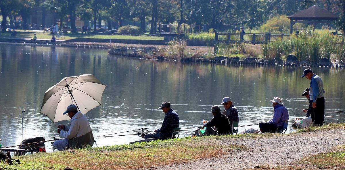 鲫鱼|老话讲：“鱼儿露头，收竿快走”，难道鱼儿上浮后就钓不到鱼吗？