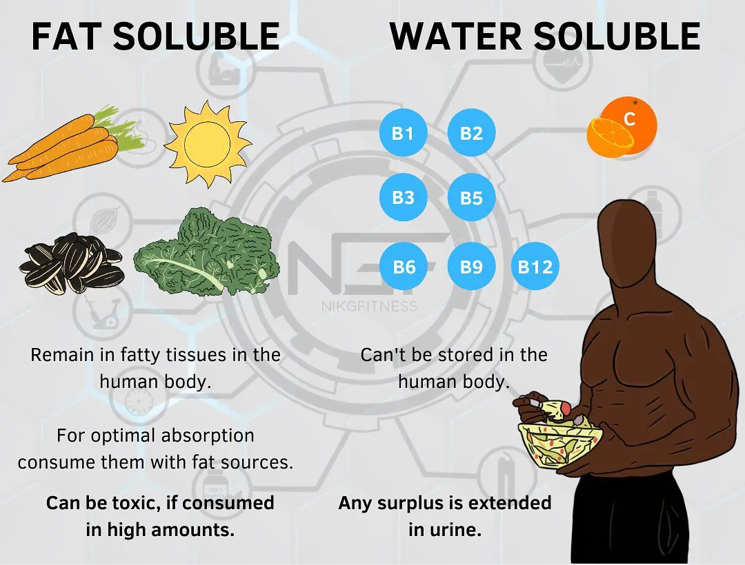 健身|健身别再瞎吃了！